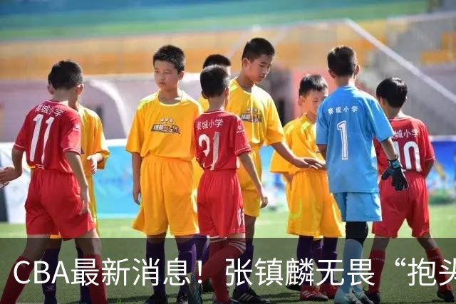 CBA最新消息！张镇麟无畏“抱头哥”称谓，辽宁助教加盟浙江，广厦续约布朗
